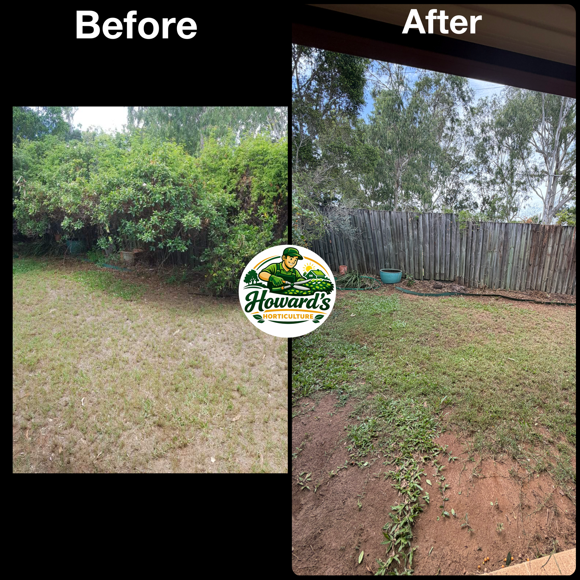 Garden transformation
