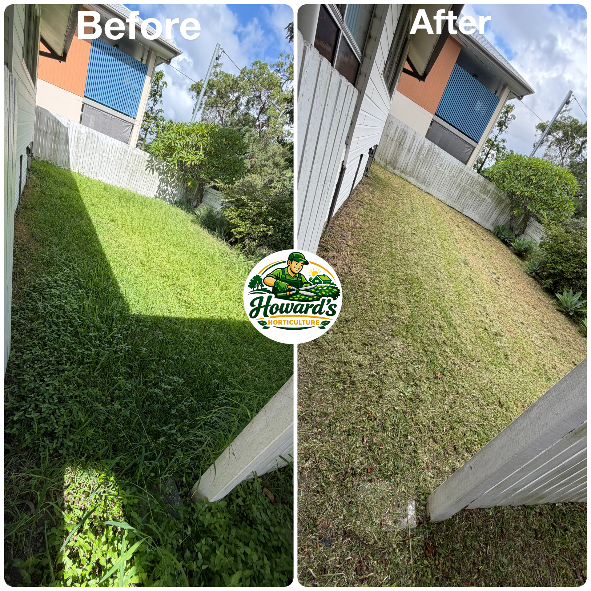 Garden transformation