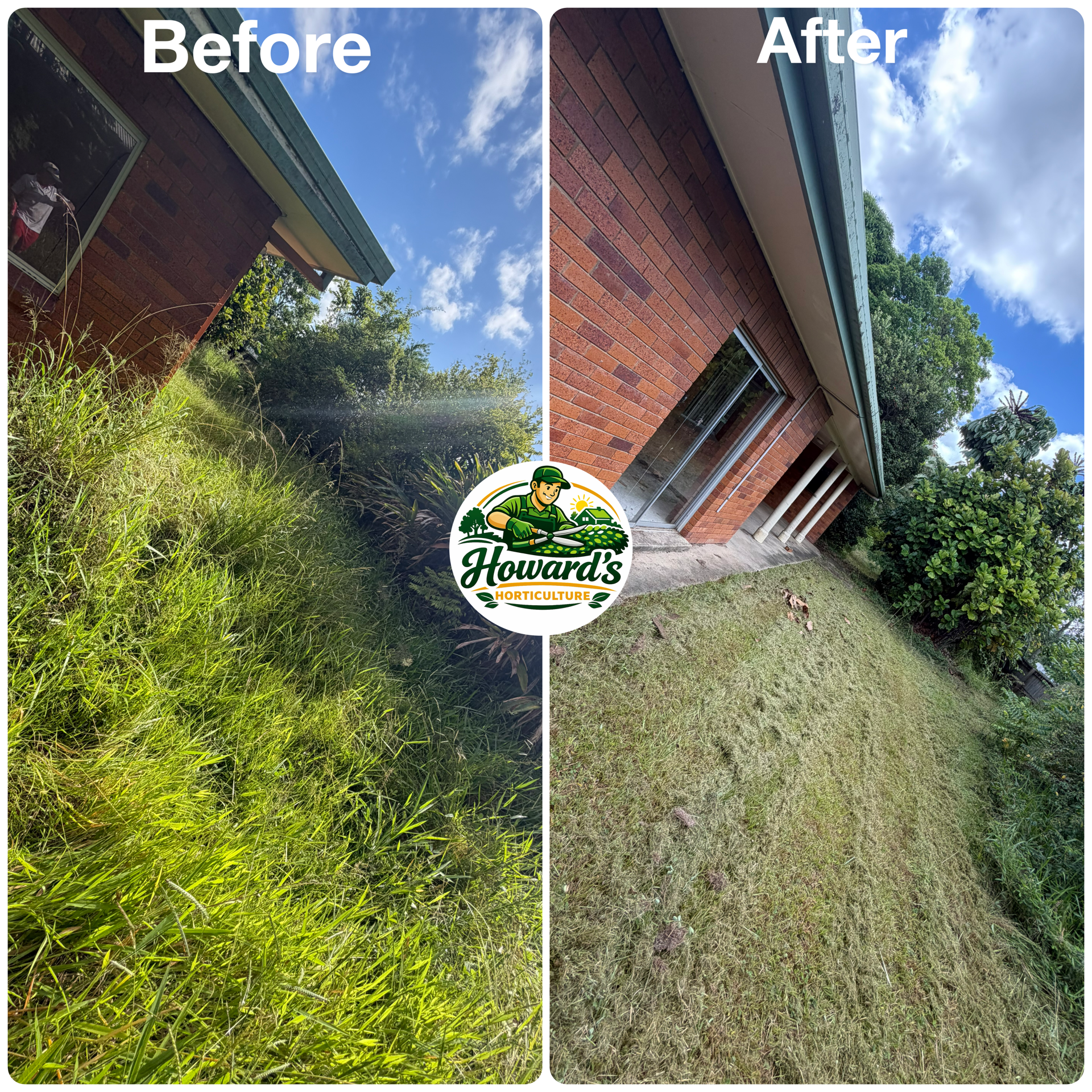 Garden transformation